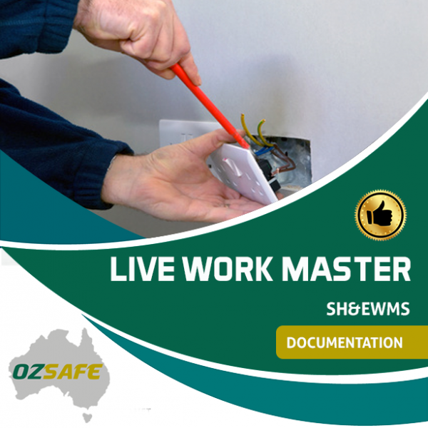 Site Earthworks - SH&EWMS / SWMS